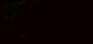 Gif animé feux d'artifices 235